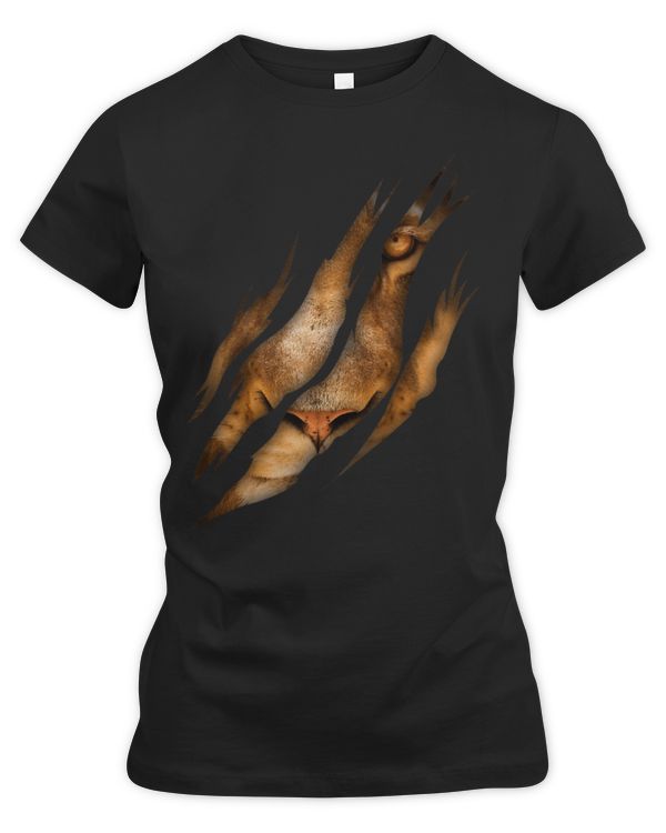 Women's Premium Slim Fit Tee