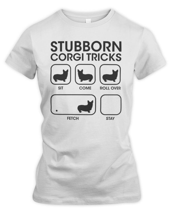 Women's Premium Slim Fit Tee