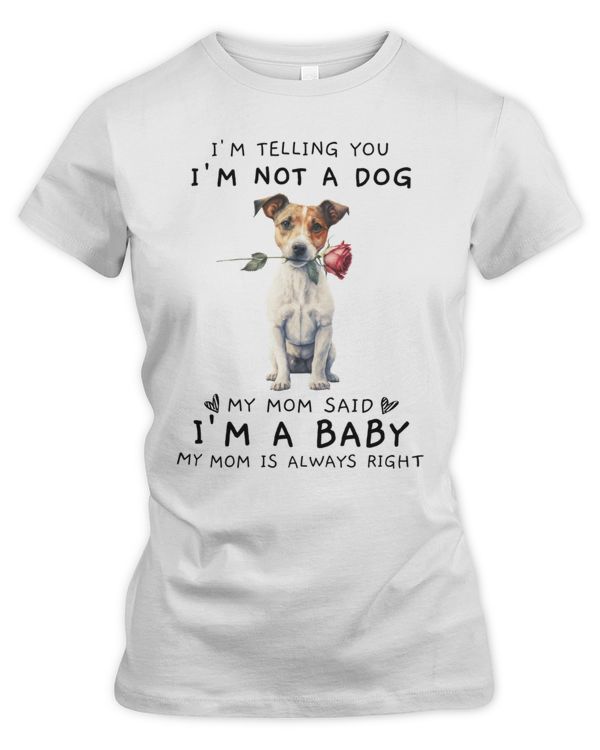 Women's Premium Slim Fit Tee
