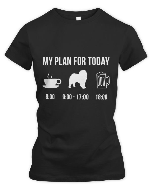Women's Premium Slim Fit Tee