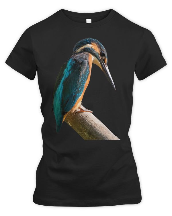 Women's Premium Slim Fit Tee