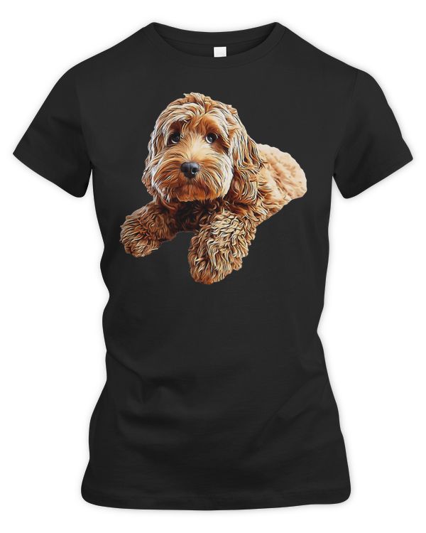 Doodle Dog Cockerpoo Cockapoo Spoodle Cute Puppy Dog puppy animal paw