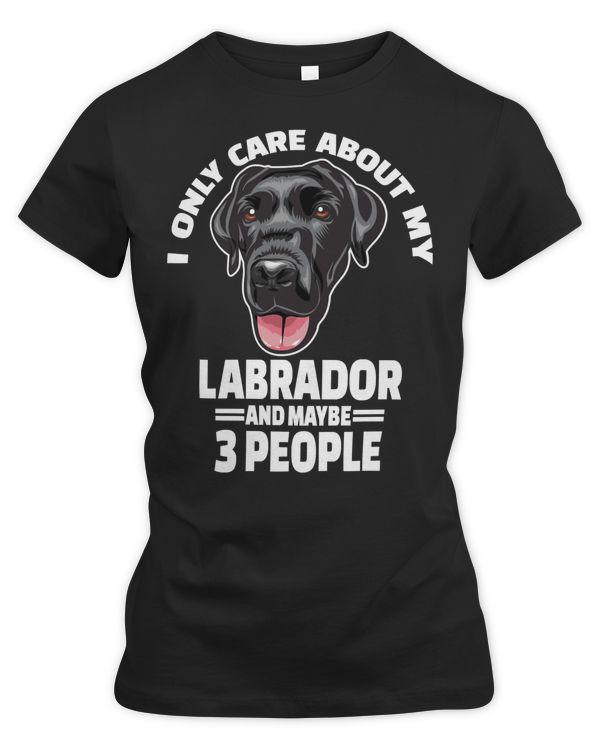 Labrador Retriever Lover Black Labrador Retriever StickersI Only Care About My Labrador Retrievers Dog
