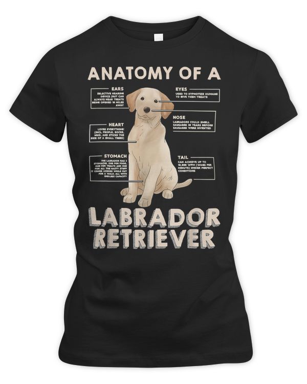 Labrador Retriever Lover Funny Anatomy of a Labrador Retriever Ideas for Retrievers Dog