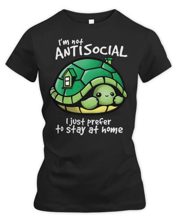 Sea Turtle Antisocial turtle 709 Ocean Beach