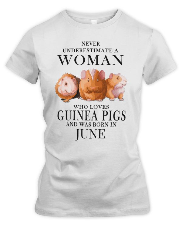 Women's Premium Slim Fit Tee