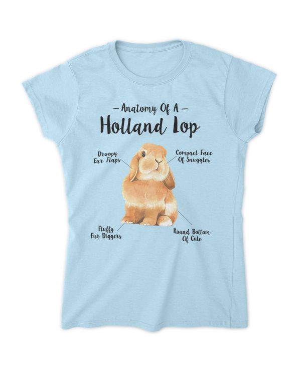 anatomy of a Holland lop