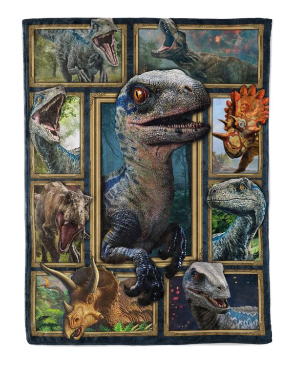 Cozy Plush Fleece Blanket