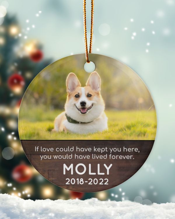 Porcelain Ornament - Circle