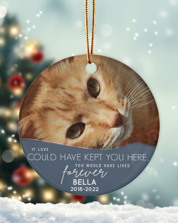 Personalized Custom Cat Pet Memorial Christmas Loss Ceramic Ornament