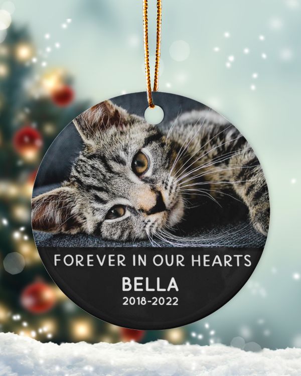 Porcelain Ornament - Circle