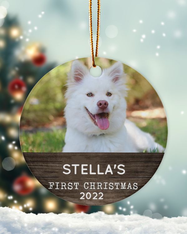 Personalized Custom Dog Puppies First Christmas Ceramic Ornament