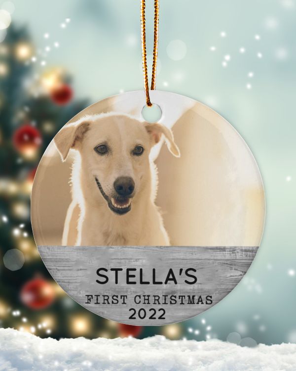 Personalized Custom Dog Puppies First Christmas Photo Ceramic Ornament