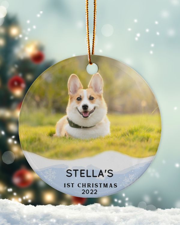 Personalized Custom Dog Puppies 1ST First Christmas Ceramic Ornament