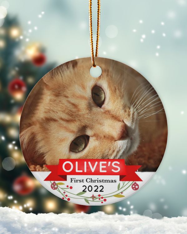 Personalized Custom Cat Kittens First Christmas Ceramic Ornament