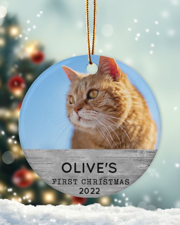 Personalized Custom Cat Kittens First Christmas Picture Ceramic Ornament