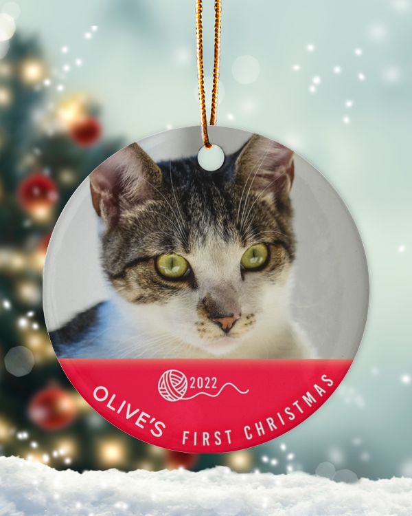 Personalized Custom Photo Kittens First Christmas Ceramic Ornament