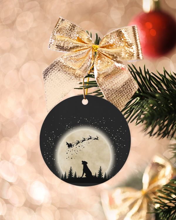 Wood Ornament - Circle