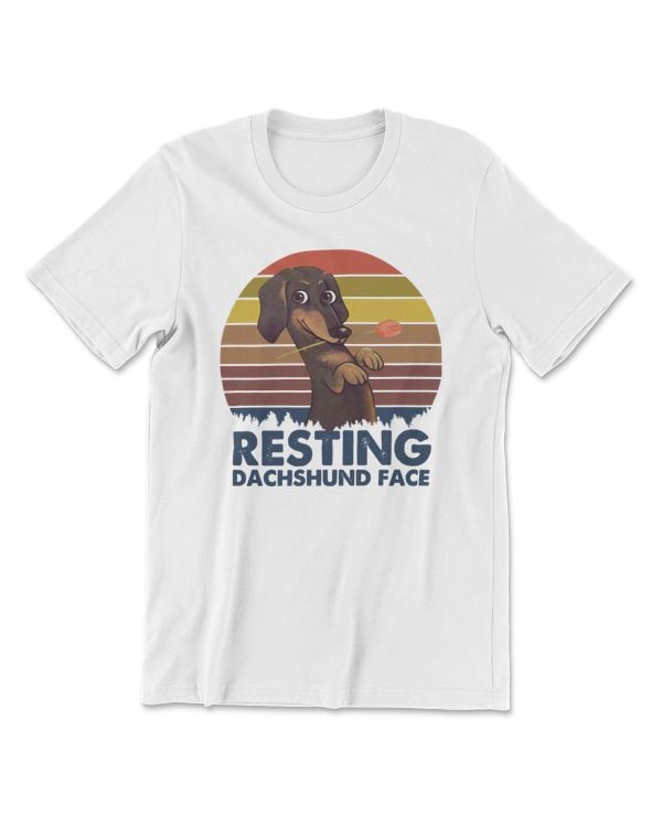 Dachshund Dog Funny Retro Sunset Style Dachshund Vintage Lover Sausage Dog Mom 366 Dog Lover
