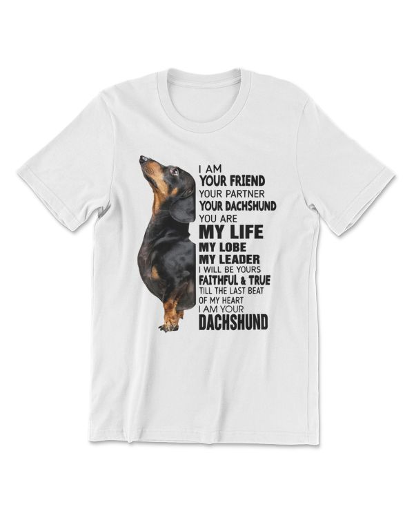 Dachshund Dog I Am Your Friend Your Partner Your Dachshund 257 Dog Lover