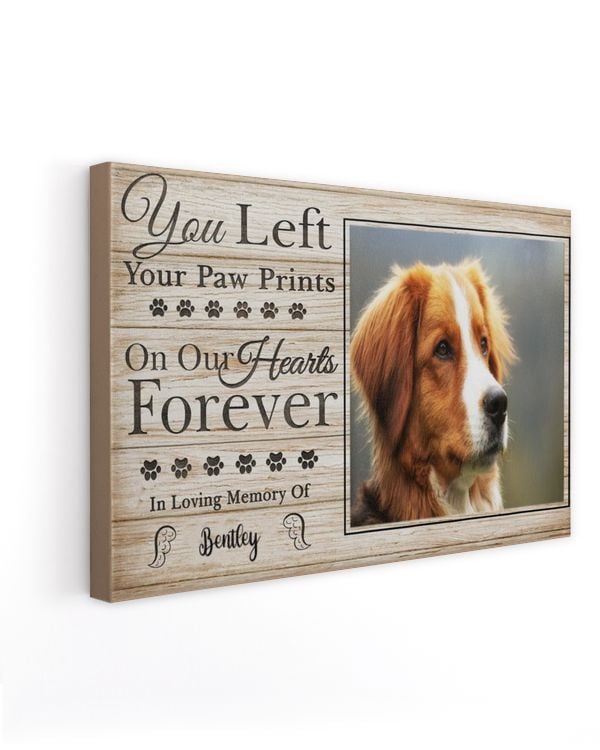 Ready To Hang Landscape Canvas