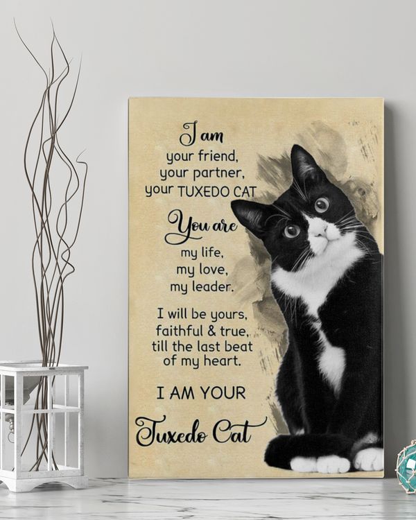 I Am Your Tuxedo Cat