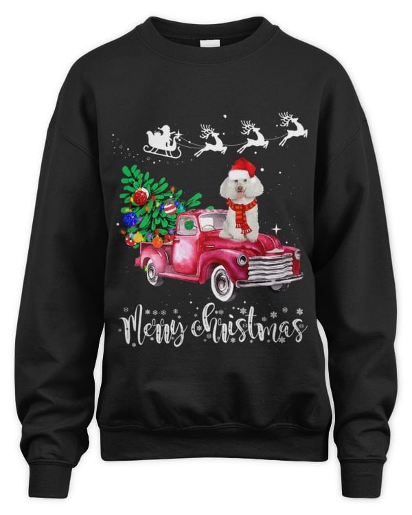 Unisex Sweatshirt - Oversized Print