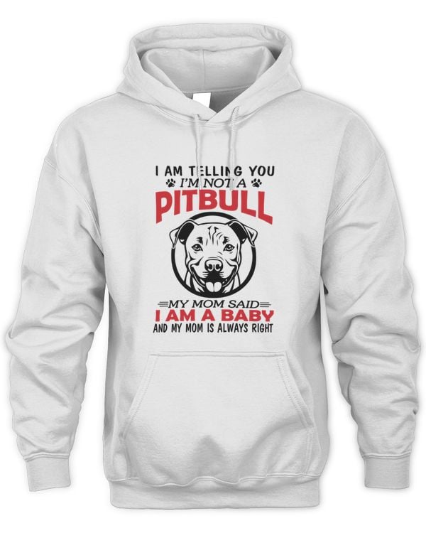 Unisex Premium Hoodie