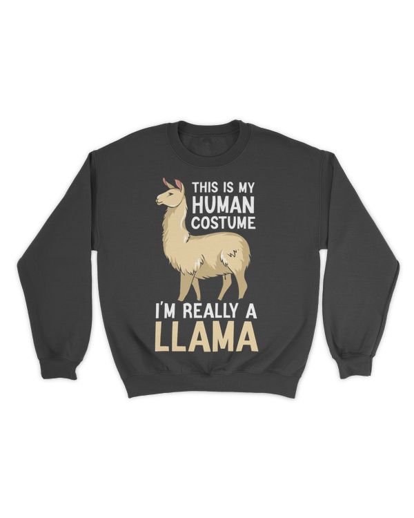 Unisex Premium Crewneck Sweatshirt