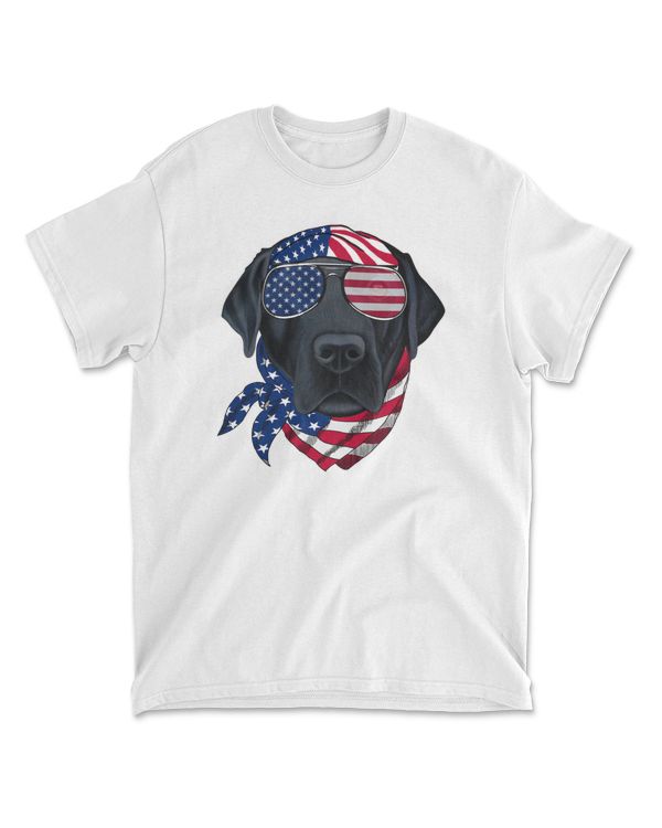 American Vibes Labrador