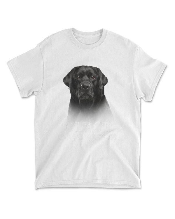 Black Labrador No Sugar