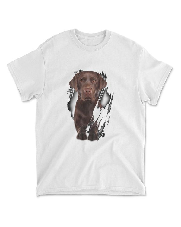 Brown Labrador Inside
