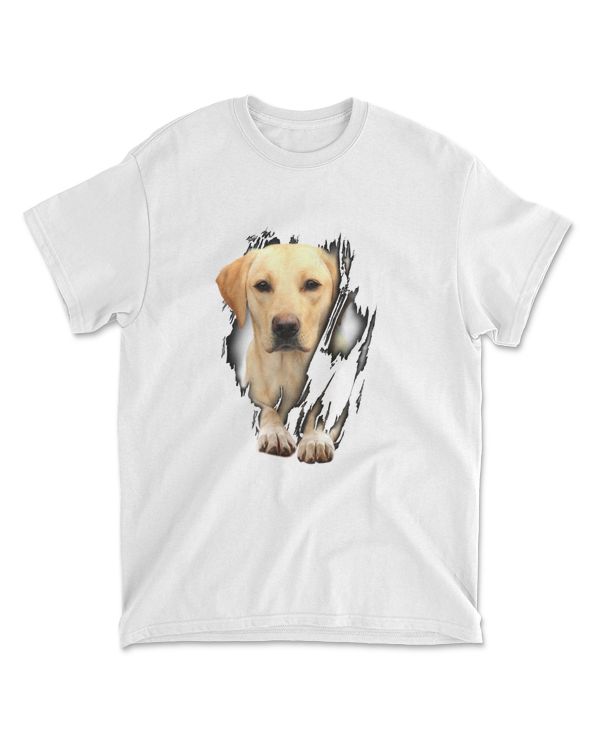 Gold Labrador Inside