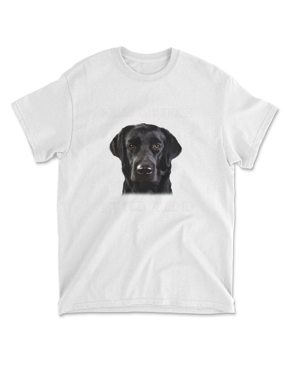 Labrador Hello Darkness My Old Friend