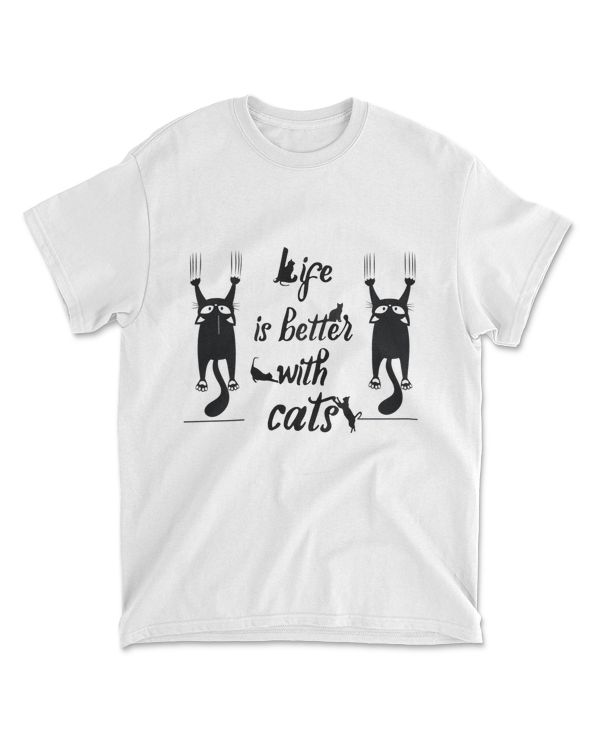 A black cat funny