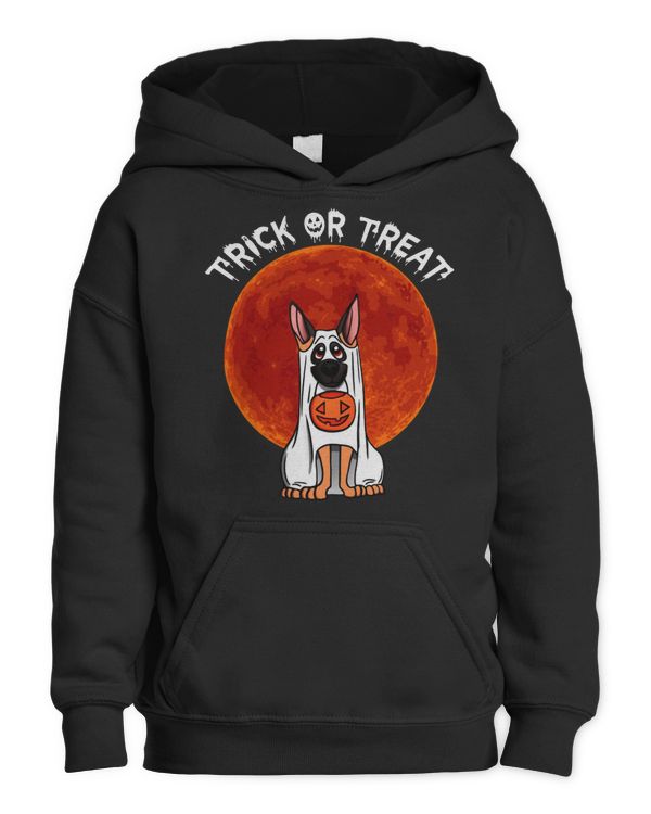 Youth Pullover Hoodie
