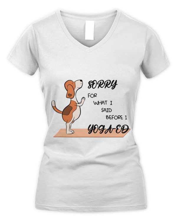 Women's V-Neck T-Shirt