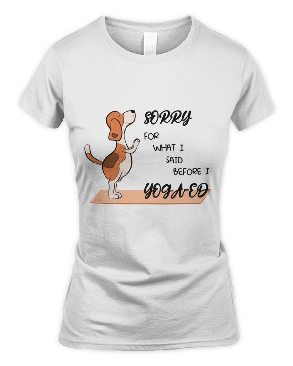 Women's Soft Style Fitted T-Shirt