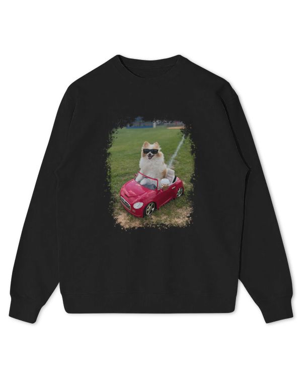 Kids Standard Sweatshirt