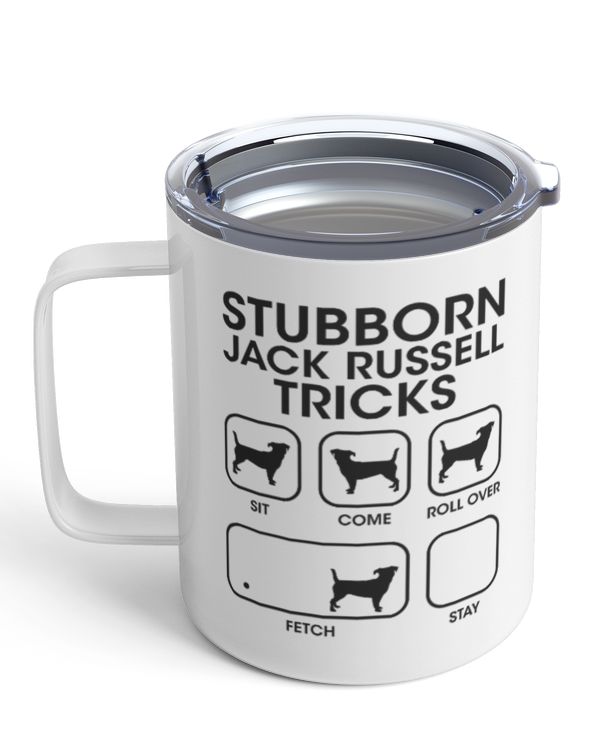 Insulated Mug