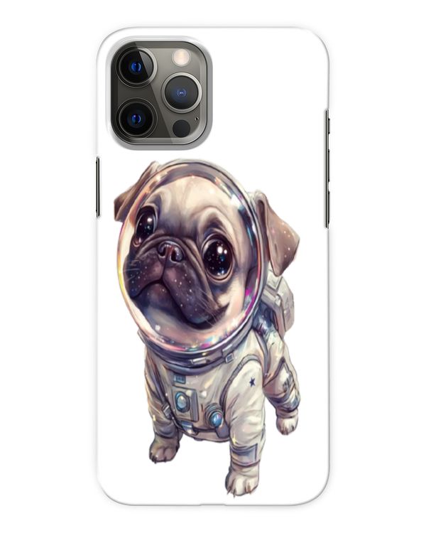 Snap Case - iP 12