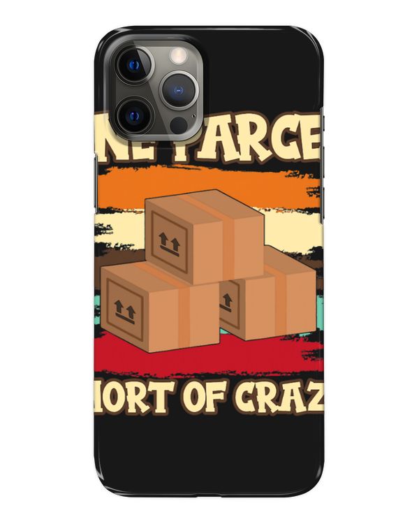 Snap Case - iP 12 Pro Max