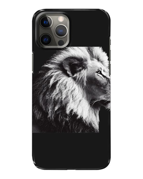 Snap Case - iP 12 Pro Max