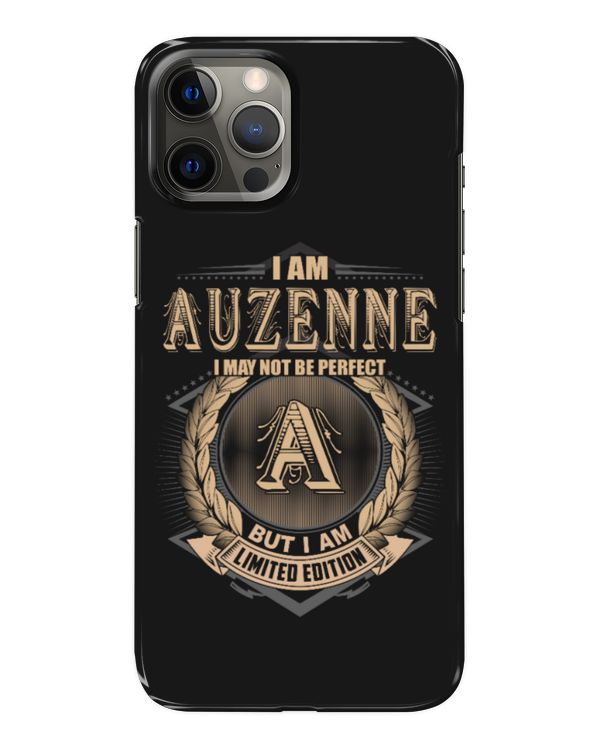 Snap Case - iP 12 Pro Max