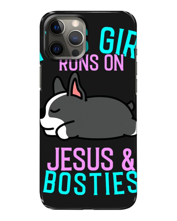 Snap Case - iP 12 Pro Max