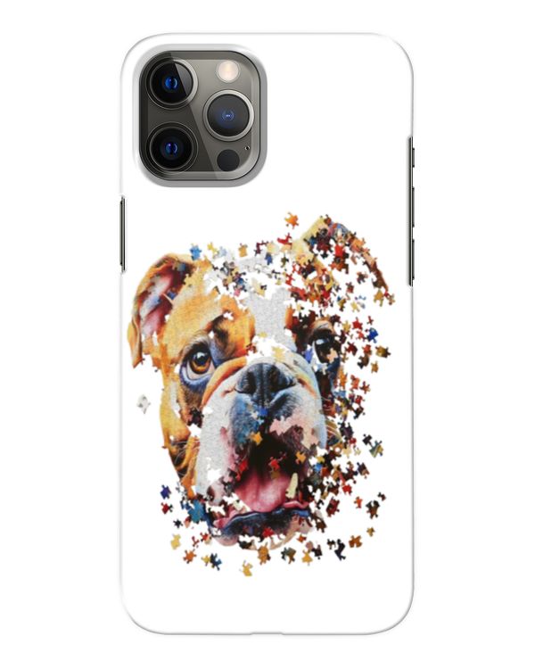 Snap Case - iP 12 Pro Max