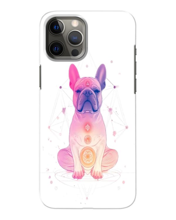 Snap Case - iP 12 Pro Max
